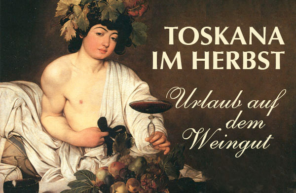 Weingüter in der Toskana